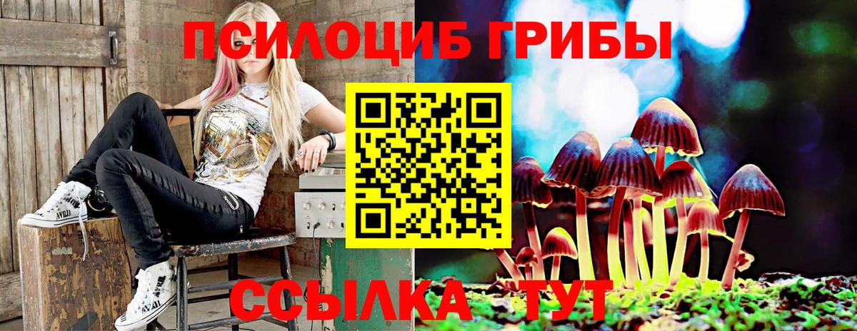 Псилоцибиновые грибы Psilocybine cubensis  Вход с VPN  наркота  Кохма 