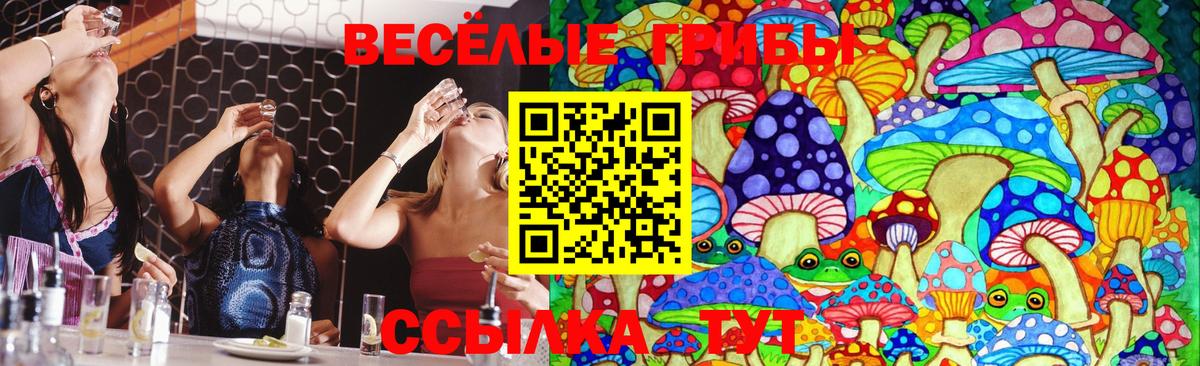 Галлюциногенные грибы GOLDEN TEACHER Кохма